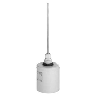 Good supplier for E+H FDU92-RG1A Ultrasonic measurement Time-of-Flight Prosonic FDU92